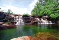 /album/fotogaleria-parques-nacionales-de-colombia/sierra-de-la-macarena-parque-natural-jpg/